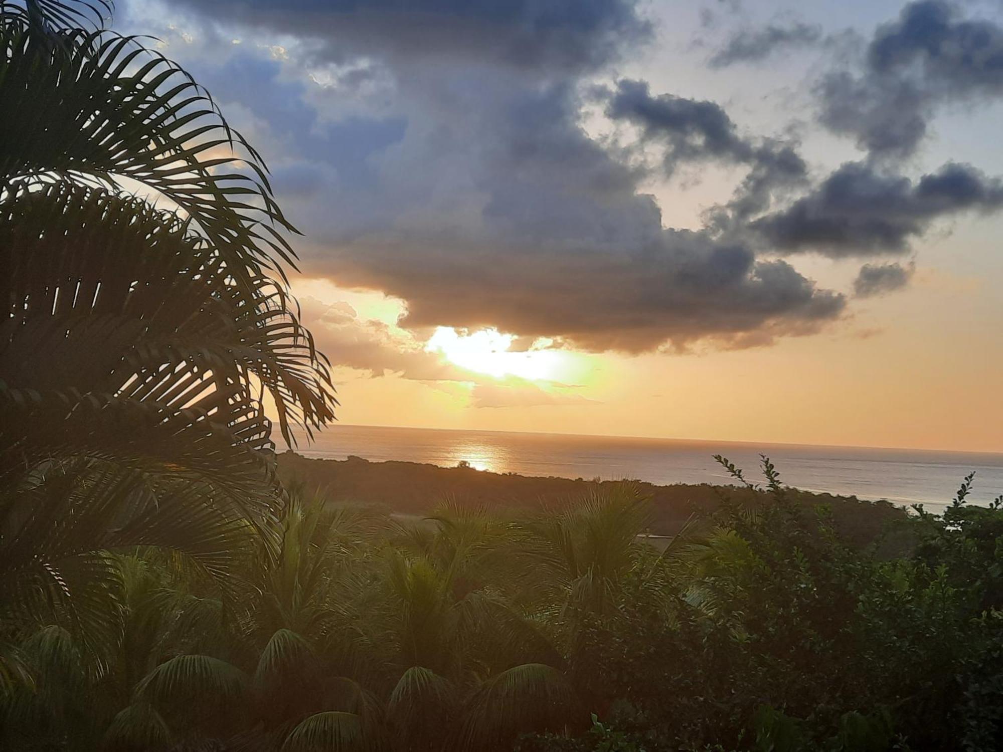 Oasis De Grande Anse Villa Deshaies Exterior photo